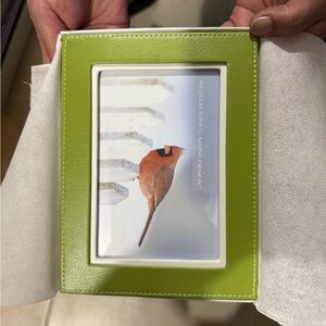 Lime Green Picture Frame by Swing Design